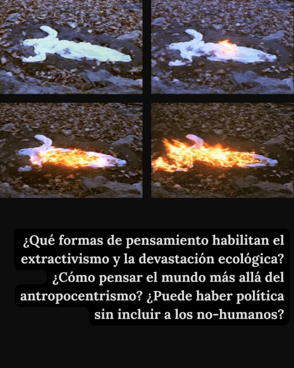 El Banquete: la fiesta puede ser una forma de conocimiento