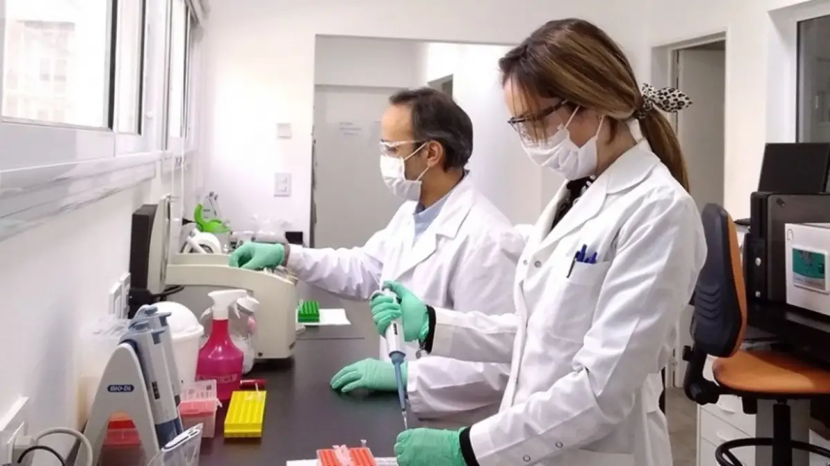 AVANCE. Las técnicas aplicadas en los laboratorios son las que permitieron estudiar al pez cebra.