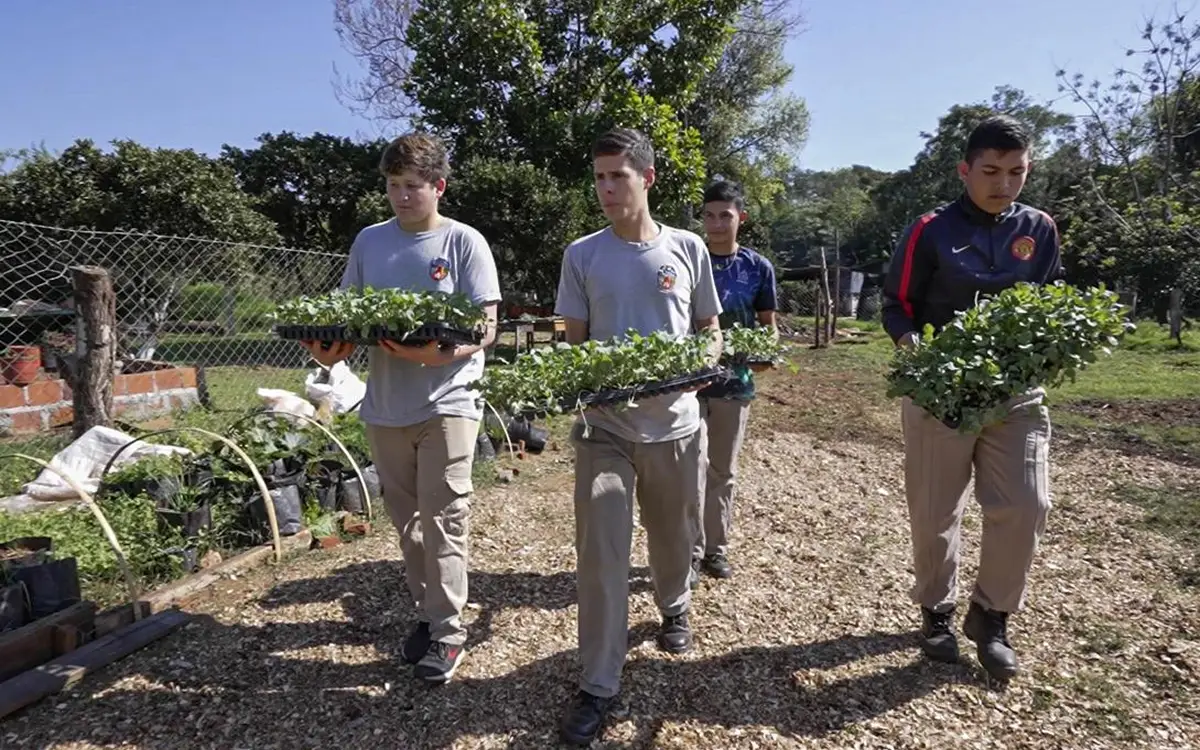 PROYECTO. Buscan incorporar contenidos de agrotecnología en el nivel secundario para acercar a los estudiantes a las nuevas demandas del sector productivo.