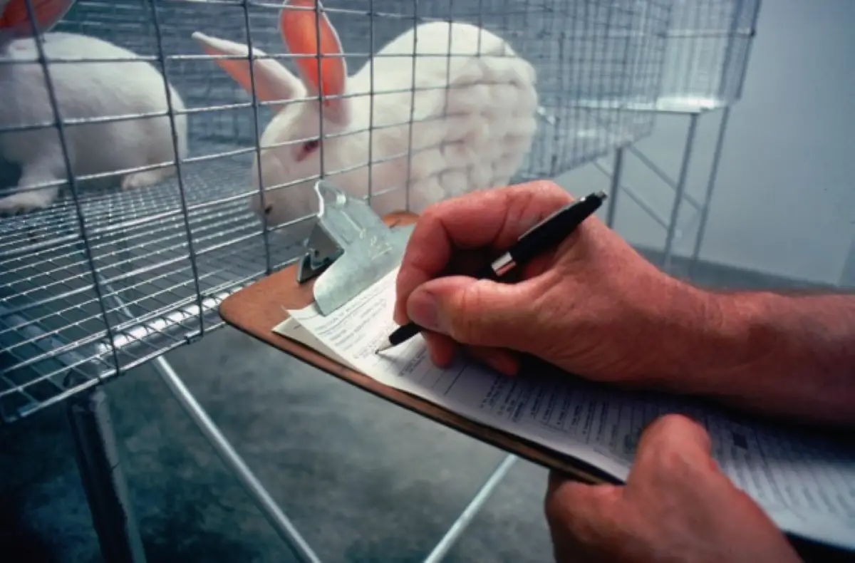 ¿Qué pasa con los animales de laboratorio cuando se termina la investigación?