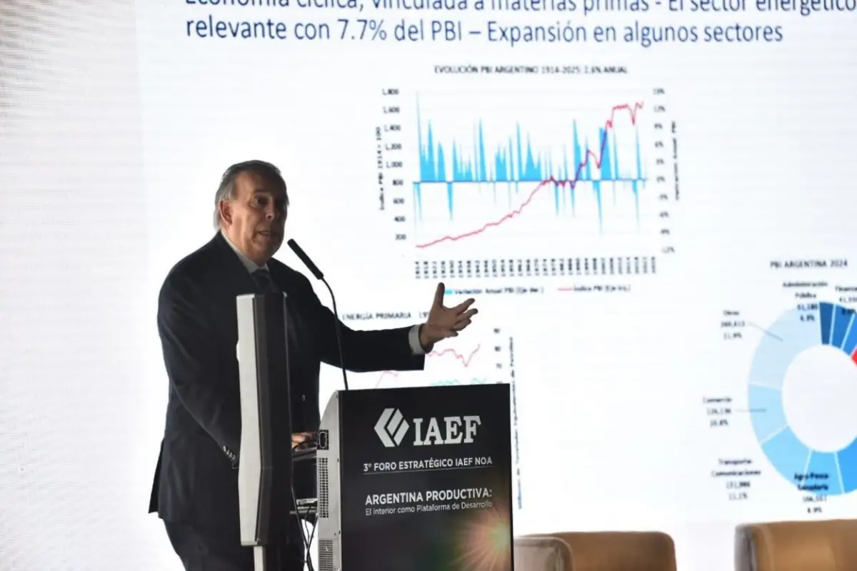 CAMBIO DE ESCENARIO. Gerold definió la situación energética nacional.