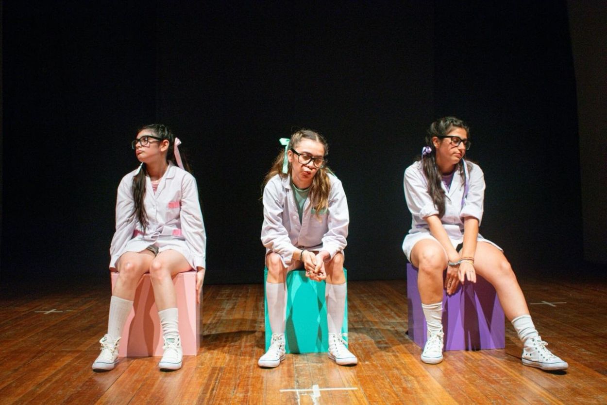 CONTRARELOJ. “Bye bye profe” se repone en la sala Tríbulo del Alberdi.