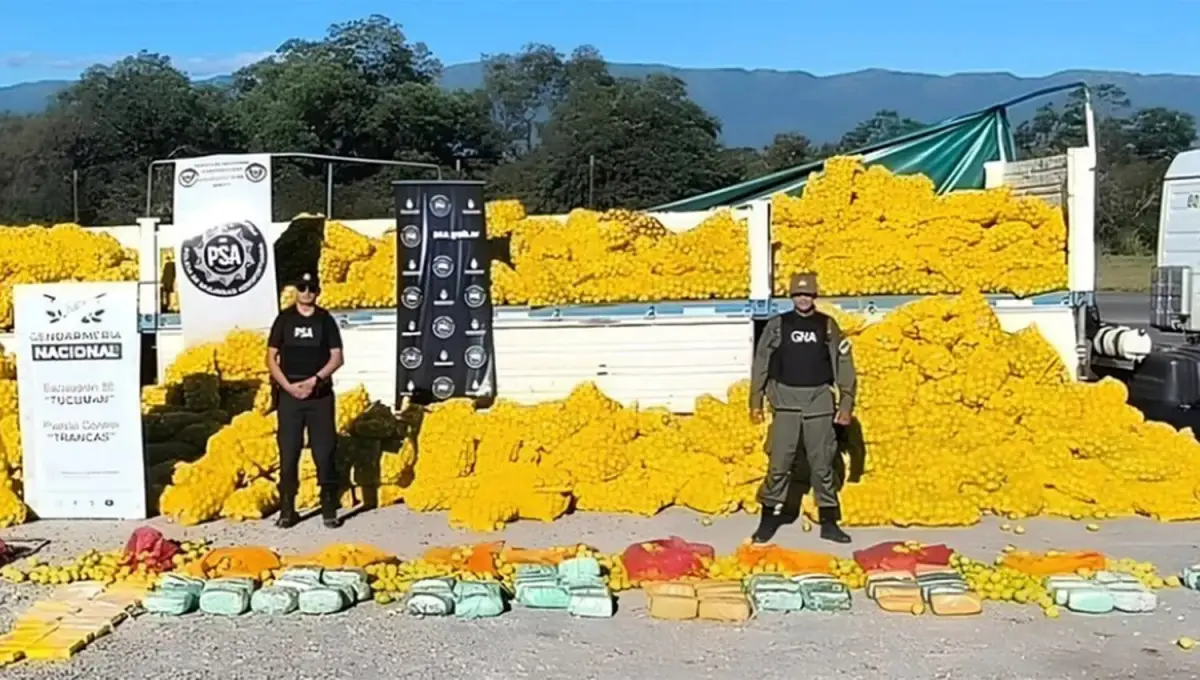 CON EL SECUESTRO. La marihuana y la cocaína que eran transportada en el camión que transportaba limones hacia Mendoza.