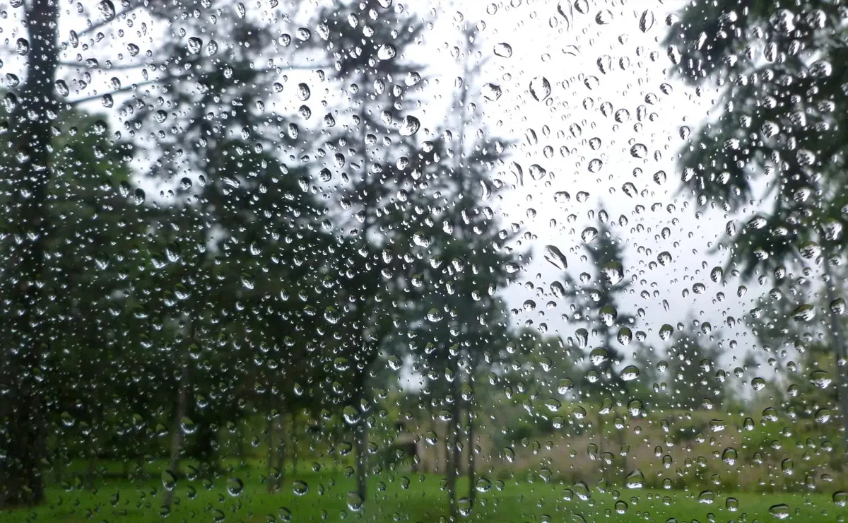 Pronóstico del tiempo en el NOA: cómo estará el clima en cada provincia este viernes 10 de abril