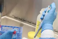 Confirman la primera muerte en el país por chikungunya y advierten sobre un brote prolongado