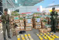 Preocupa el perfeccionamiento de los sistemas de envío de estupefaciente