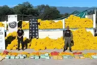 Secuestraron más de 150 kilos de drogas escondidas en un camión con limones