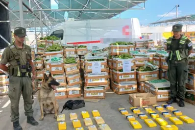 Preocupa el perfeccionamiento de los sistemas de envío de estupefaciente