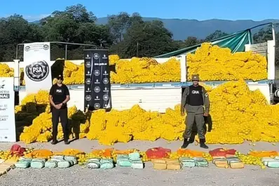 Secuestraron más de 150 kilos de drogas escondidas en un camión con limones