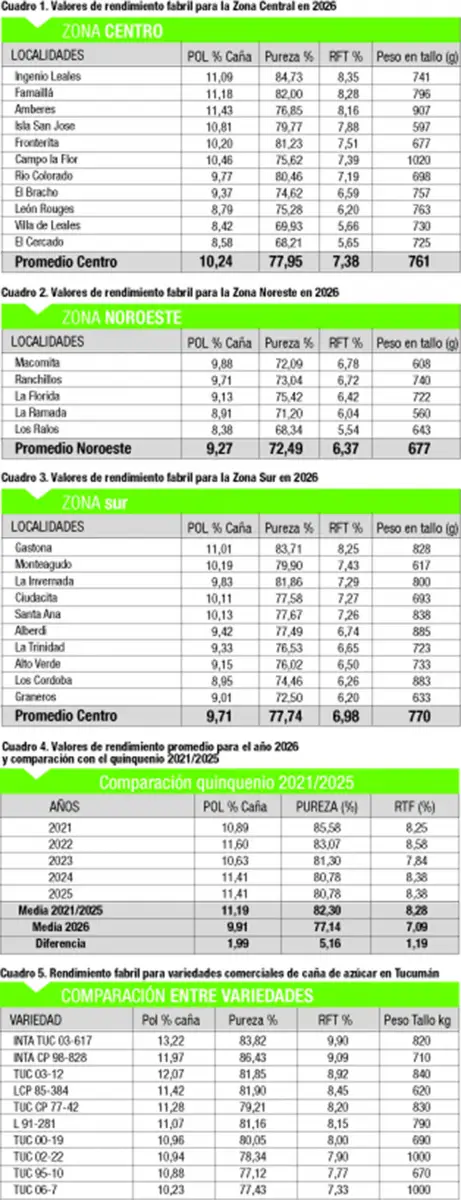 Los cañaverales muestran una maduración inusualmente baja