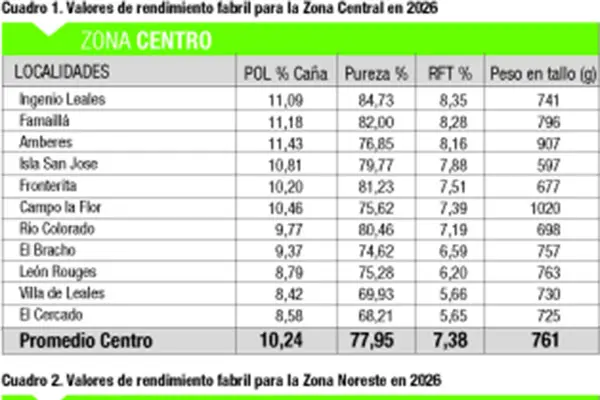 Los cañaverales muestran una maduración inusualmente baja