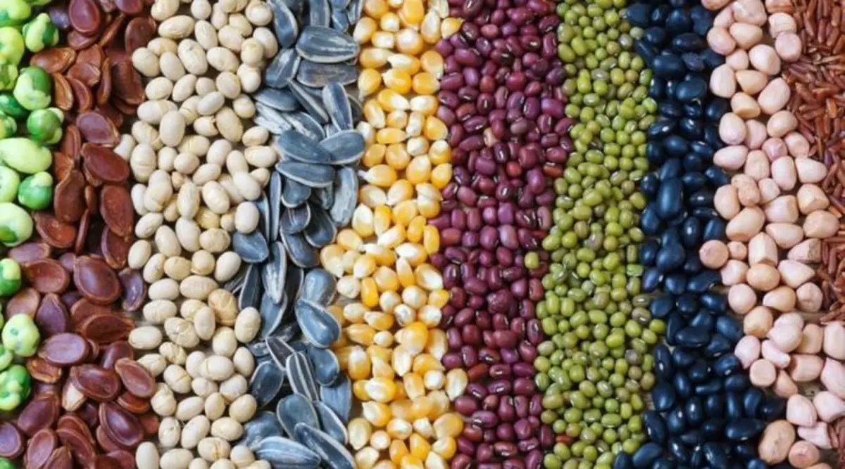 Apronor, duro contra el Gobierno nacional y contra semilleros