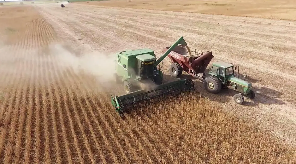 Consejos para evitar pérdidas en la trilla