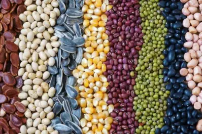 Apronor, duro contra el Gobierno nacional y contra semilleros