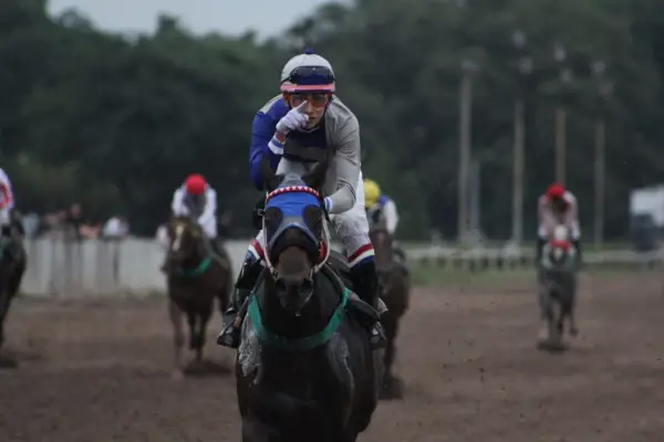 Dos cotejos jerárquicos para alquilar balcones en el turf local