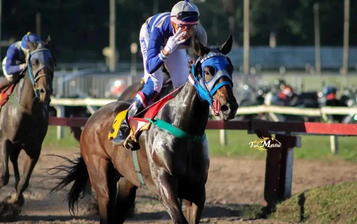 INVICTA. La potranca Holly, que fue conducida por Francisco “Polito” Brito, consiguió una contundente victoria en el clásico “Estrellas Tucumanas Junior”.