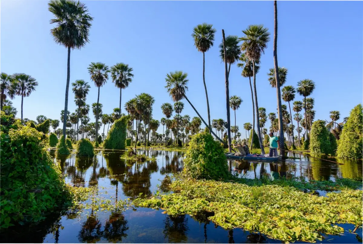 El Bañado La Estrella es un rincón único en la Argentina. 