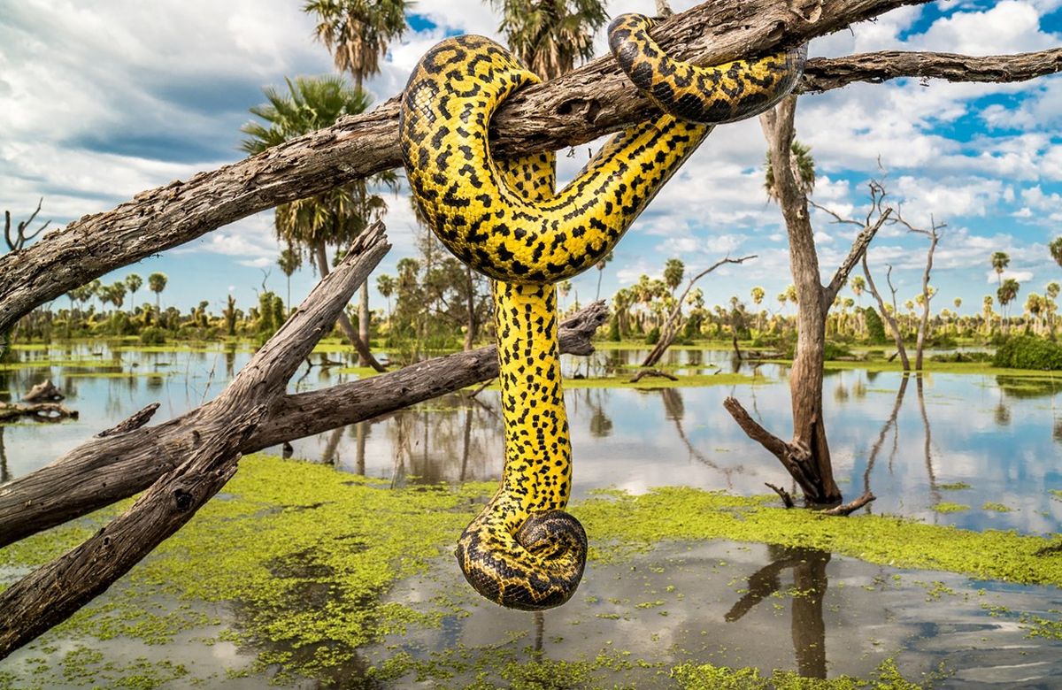 El laberinto natural que pocos conocen y fue declarado una de las siete maravillas de la Argentina