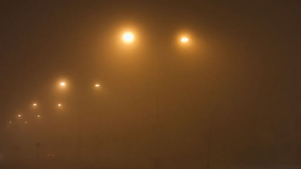 Nueva edición del Bafici: filmes imperdibles en una cita con el cine independiente