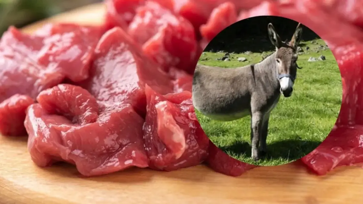 En una provincia ya se vende carne de burro: “una alternativa más”
