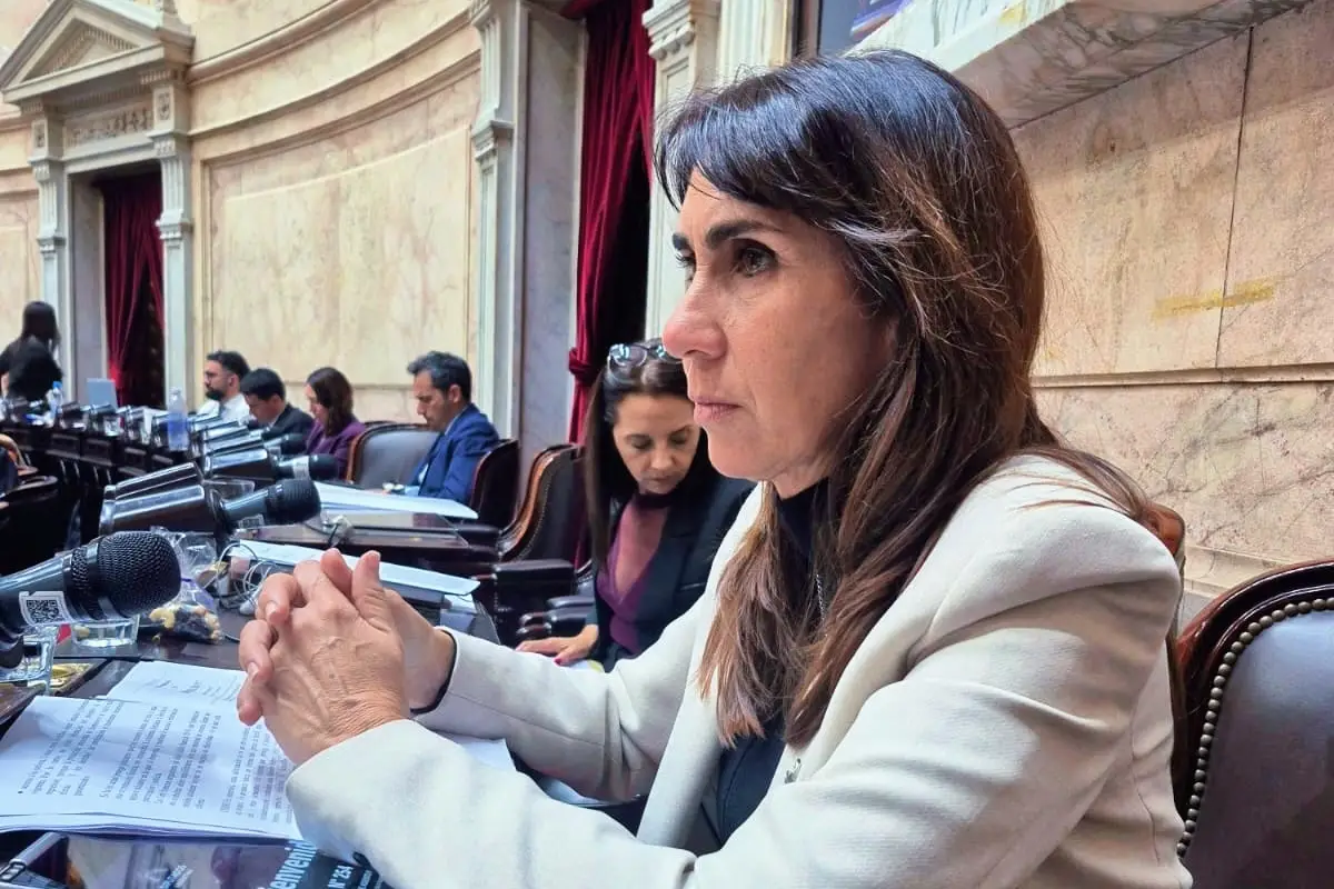 DIPUTADA POR LLA-TUCUMÁN. Soledad Molinuevo, en la banca de la Cámara baja. Foto de Prensa LLA