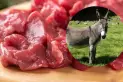 En una provincia ya se vende carne de burro: “una alternativa más”