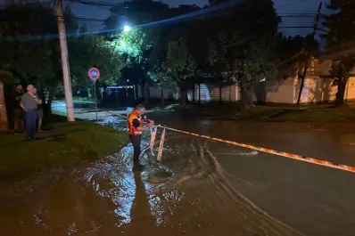 Anegamientos, tapas desplazadas y un árbol caído tras la tormenta en Yerba Buena