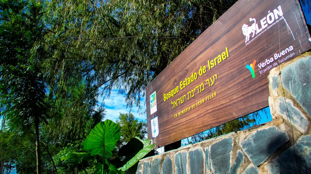 El bosque Estado de Israel, en Yerba Buena.