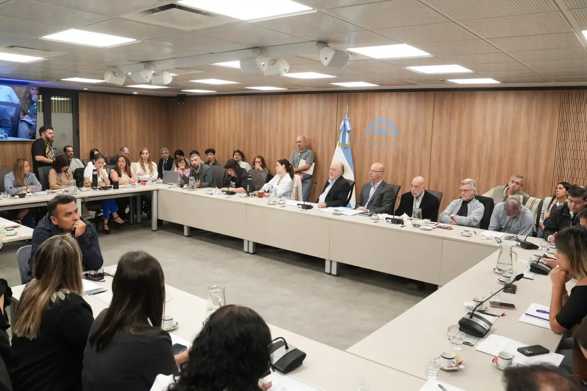 Debate en comisión. DIPUTADOS