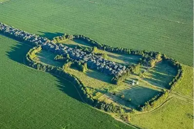 Un amor que echó raíces en forma de guitarra