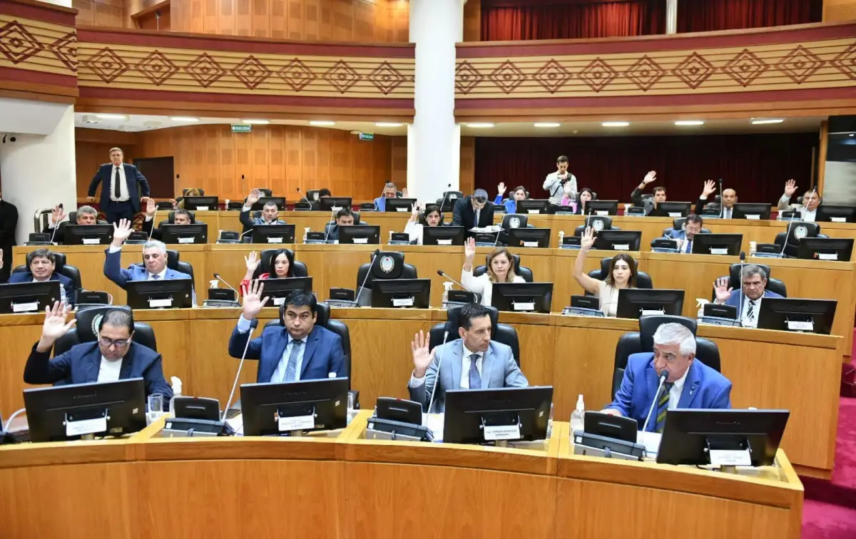 MOCIÓN OFICIALISTA. El justicialismo aprobó que se quite las expresiones de Nievas de la Legislatura. 