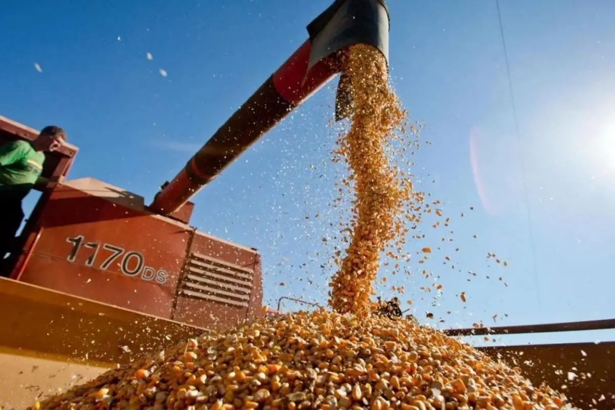 Reclamo de ruralistas: Apronor denuncia “cartelización de la producción de semillas”