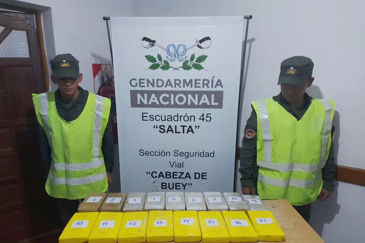 Gendarmes hallaron más de 18 kilos de cocaína ocultos en un ómnibus y en bolsos de pasajeras