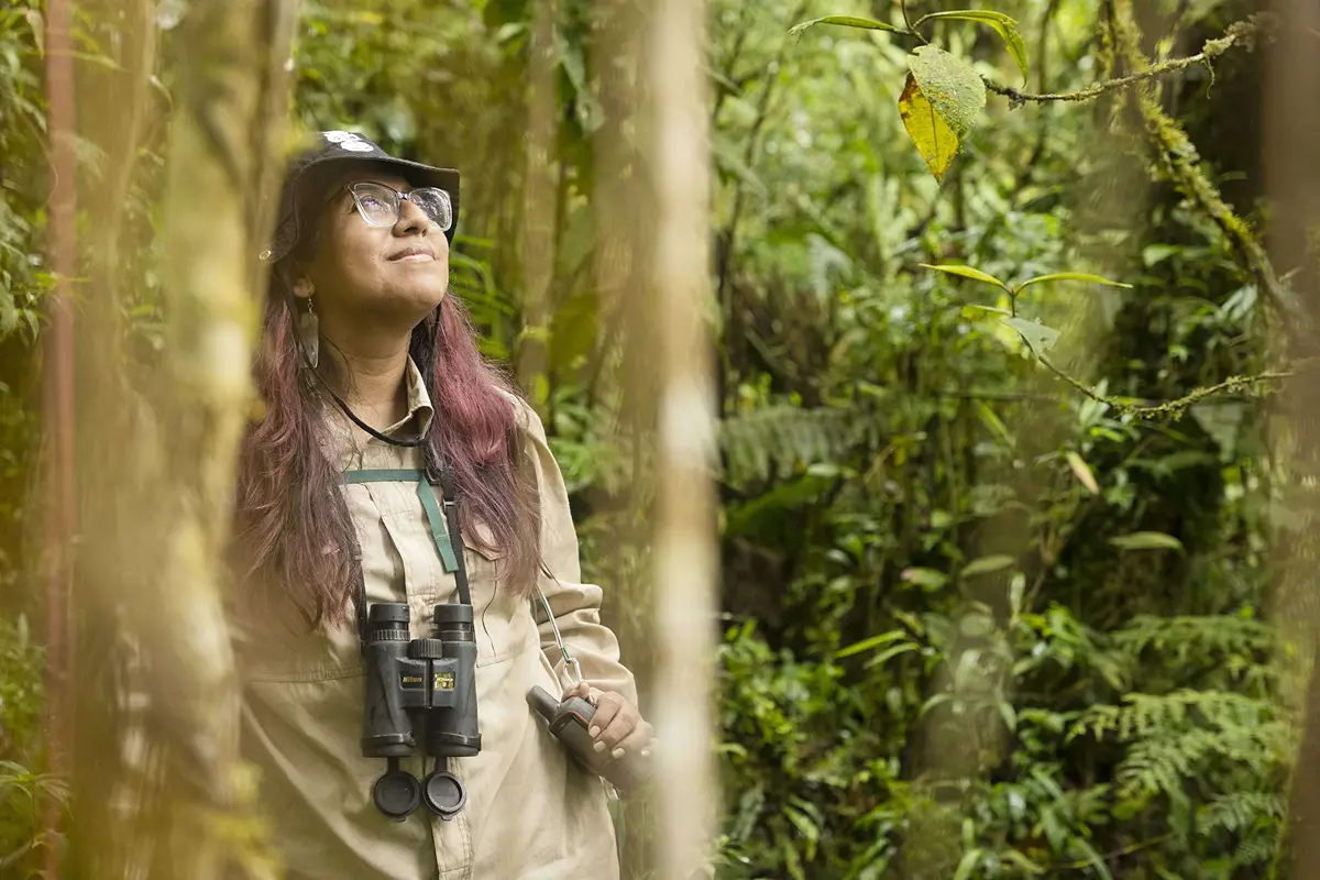 VOLUNTARIADO. La convocatoria incluye roles remotos en análisis de datos, gestión de proyectos, comunicación y sistemas de información geográfica.