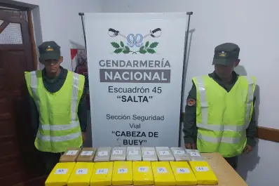 Gendarmes hallaron más de 18 kilos de cocaína ocultos en un ómnibus y en bolsos de pasajeras