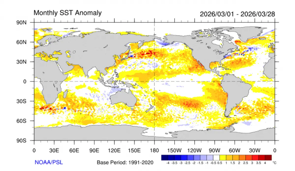 Anomalías de la temperatura superficial del mar del 01 al 28 de marzo de 2026. Período de referencia 1981-2010 - Fuente: NOAA-NCEP/CPC/SMN