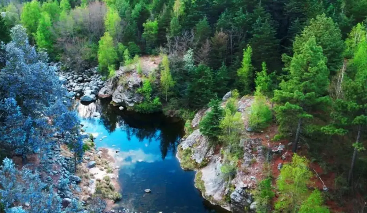 Villa Alpina, un refugio de pinos y ríos a pocos kilómetros de la ciudad.