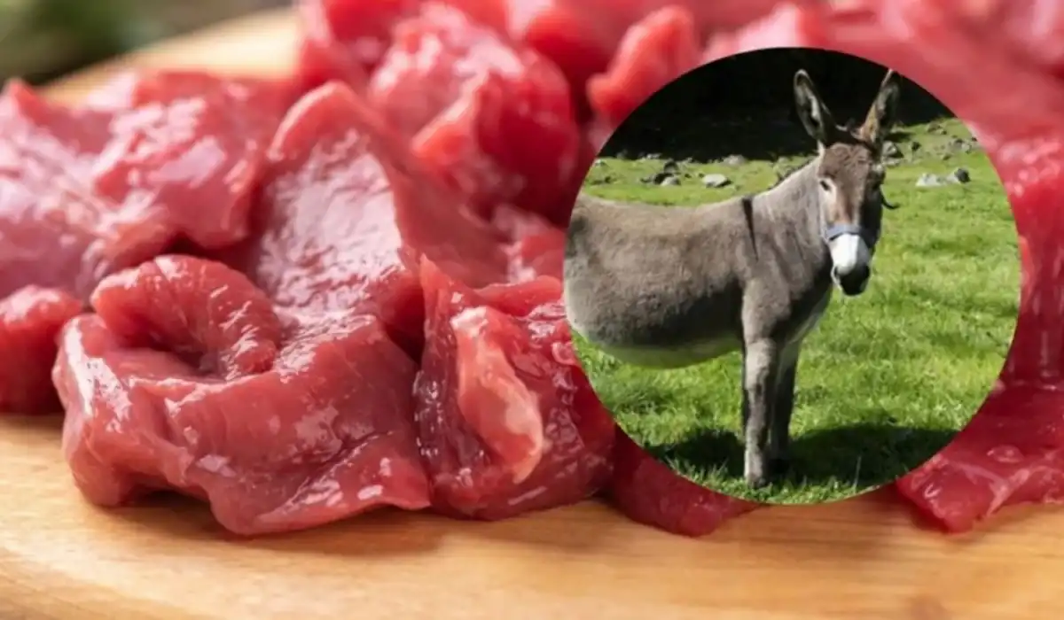 En la práctica, está prohibida la comercialización de carne de burro, afirmó el secretario de Producción de Tucumán