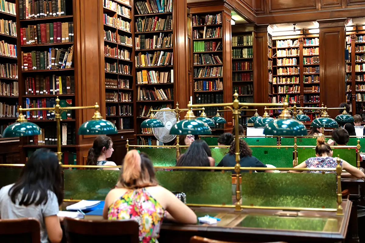 DERECHO, TECNOLOGÍA Y MÁS. Para quienes buscan insertarse rápido en el mercado laboral, estas son todas las opciones disponibles en la UBA. / UBA