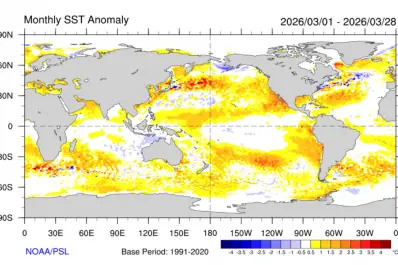 ¿Llega el “Súper El Niño” a Argentina? Qué dicen los pronósticos y cómo podría cambiar el clima en 2026
