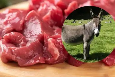 En la práctica, está prohibida la comercialización de carne de burro, afirmó el secretario de Producción de Tucumán