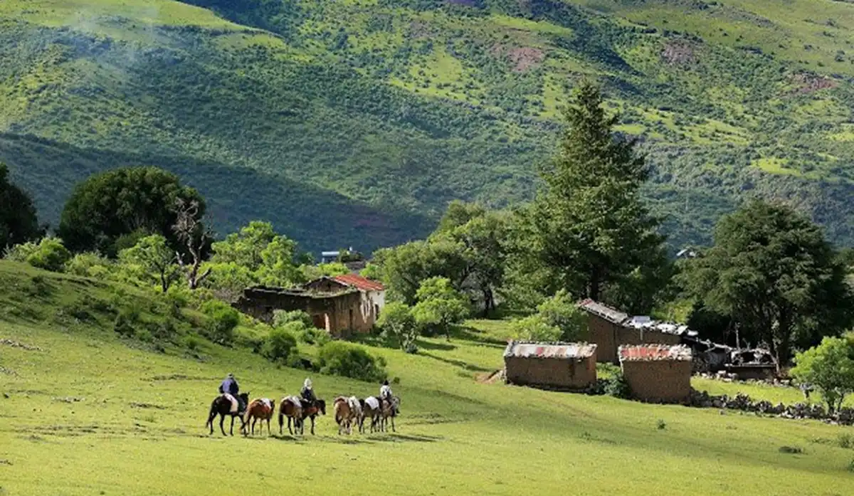 Alto Calilegua se erige a los 3000 metros sobre el nivel del mar en la yunga jujeña.