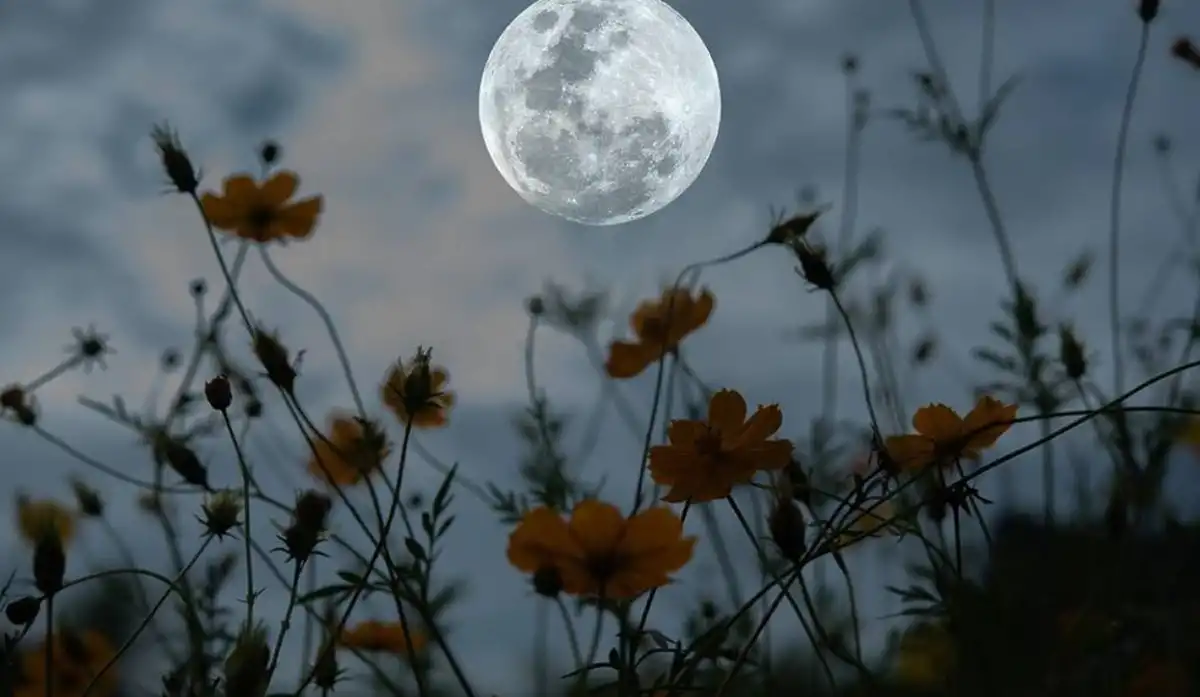 Las lunas que marcarán el mes de mayo.