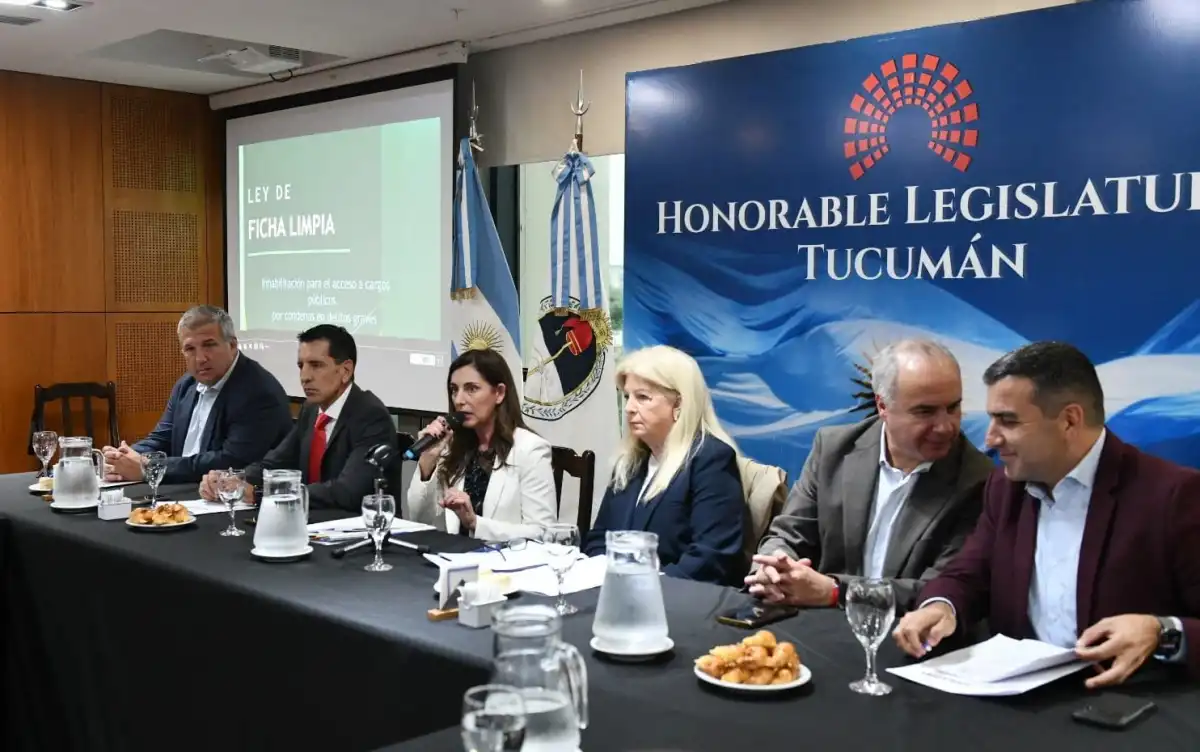 ENCUENTRO. La comisión de Asuntos Constitucionales e Institucionales se reunió ayer y volverá a hacerlo el lunes. 