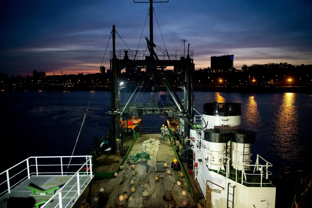 FOTO ILUSTRATIVA. AGRICULTURA 