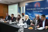 Ficha Limpia: la condena en primera o en segunda instancia es el nudo a resolver
