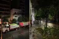 Denuncian una “cosecha salvaje” de naranjas en el centro y alertan por los daños al arbolado urbano