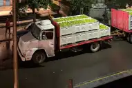 La Municipalidad capitalina defendió la recolección de naranjas y negó daños al arbolado urbano