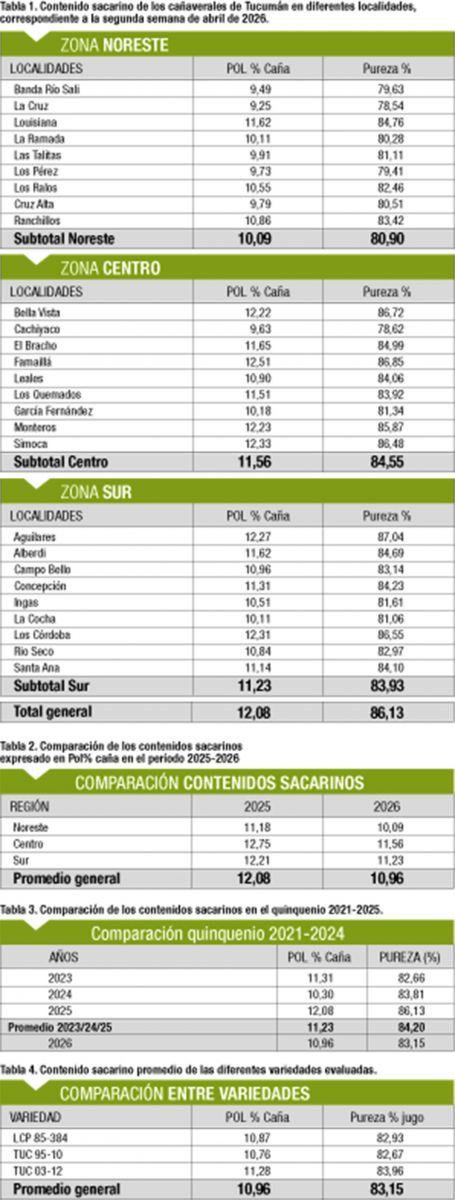 Cañaverales muestran un estado madurativo inferior al de 2025