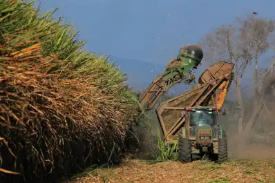 Las balanzas de los ingenios se controlarán con mayor frecuencia durante la zafra 2026